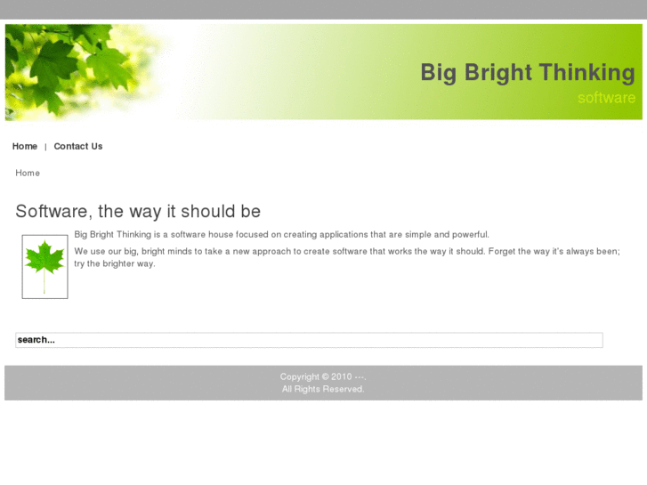 www.bigbrightthinking.biz