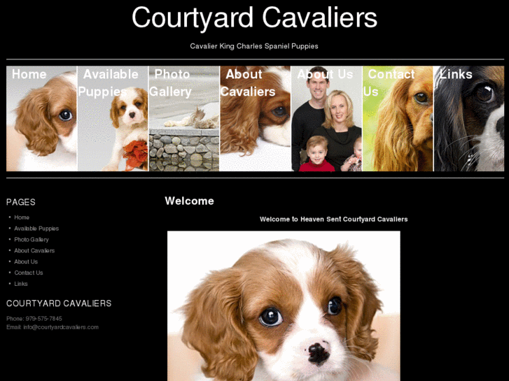 www.courtyardcavaliers.com