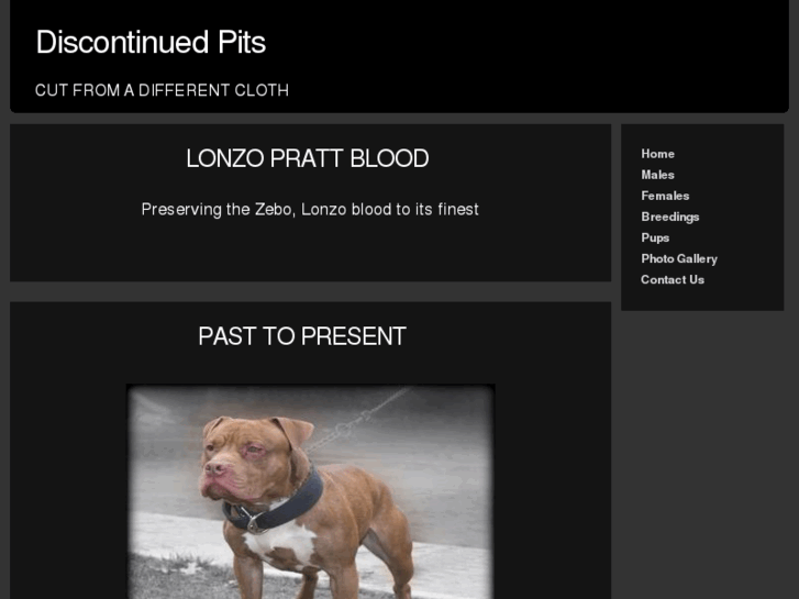 www.discontinuedpits.com