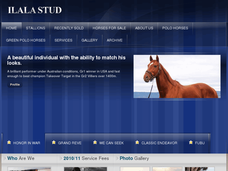 www.ilalastud.com