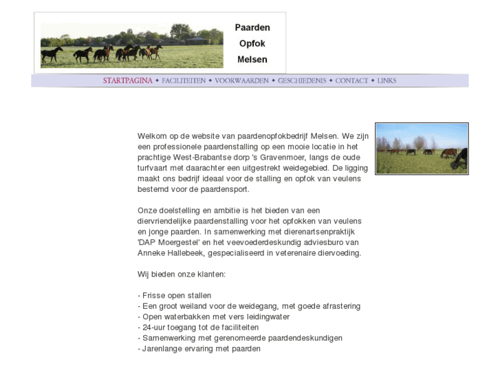 www.paardenopfokmelsen.nl