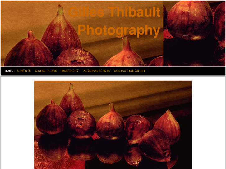 www.gillesthibaultphotography.net