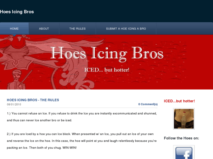 www.hoesicingbros.com