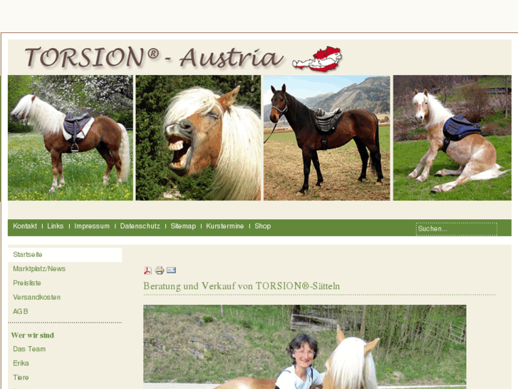 www.torsion-austria.at