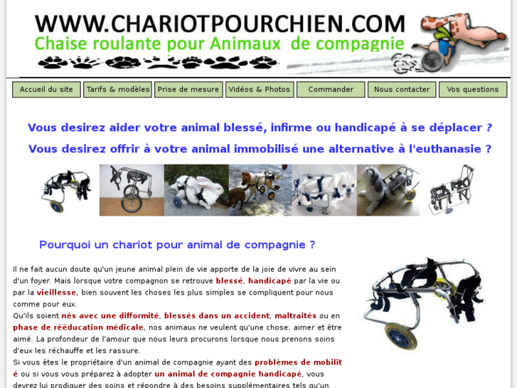 www.chariotpourchien.com