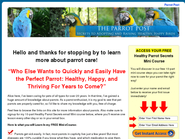 www.parrotpost.com