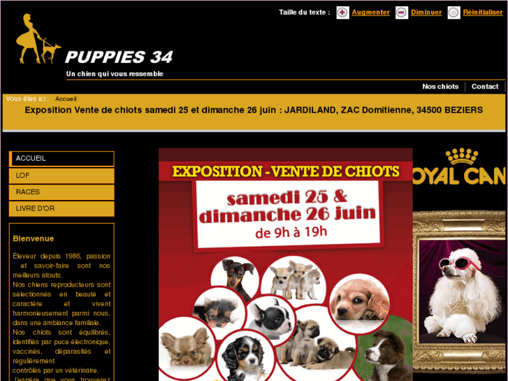 www.puppies34.com