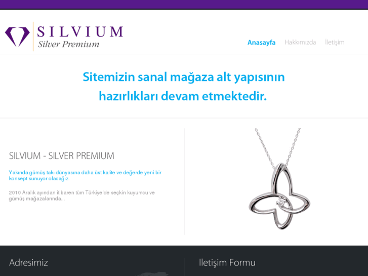 www.silvium.com