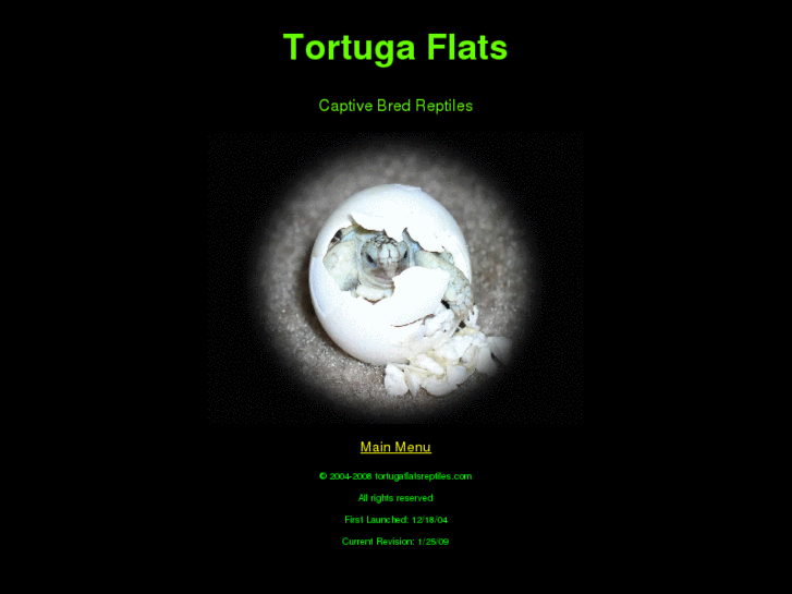 www.tortugaflatsreptiles.com