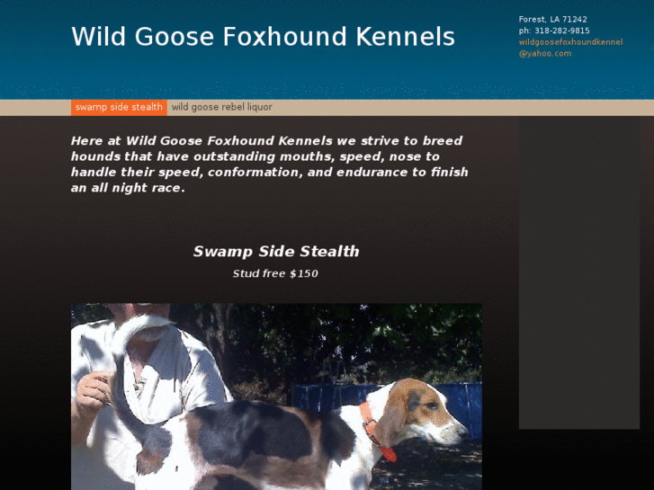 www.wildgoosefoxhoundkennels.com