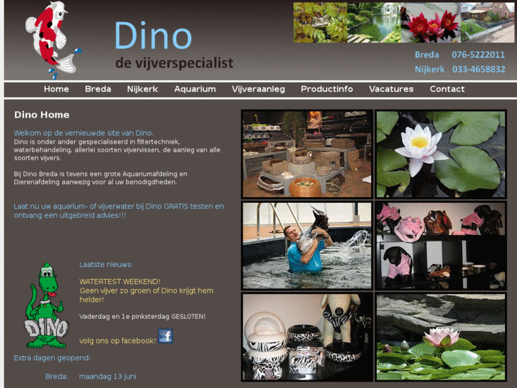 www.dinobreda.nl