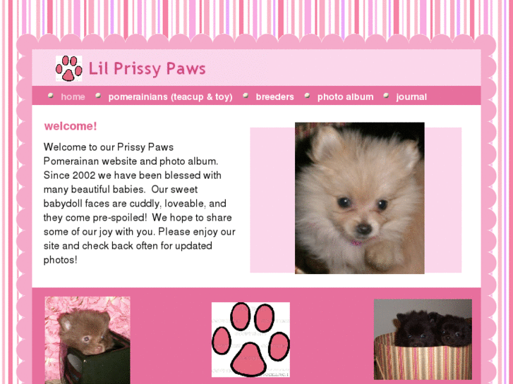 www.lilprissypaws.com