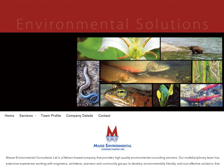 www.masseenvironmental.com