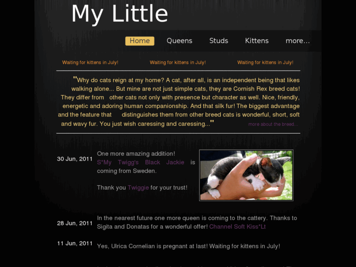 www.my-little.eu