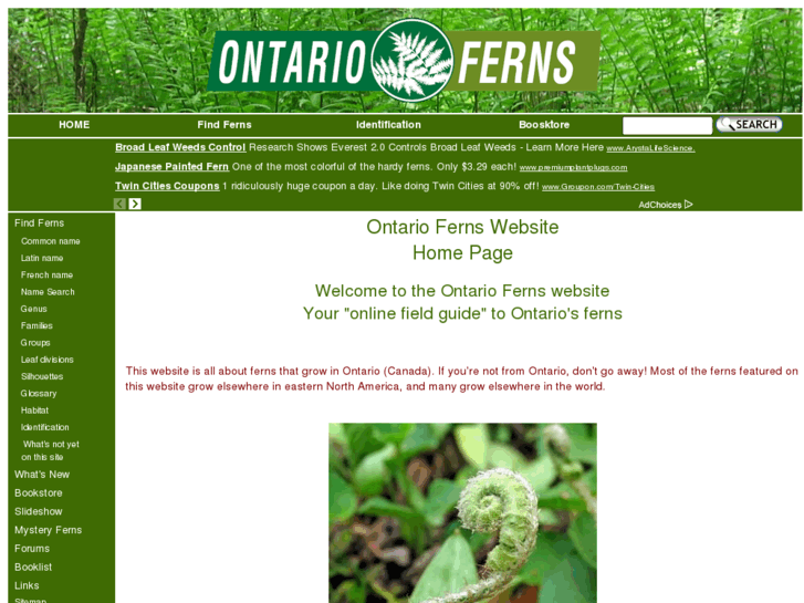 www.ontarioferns.com