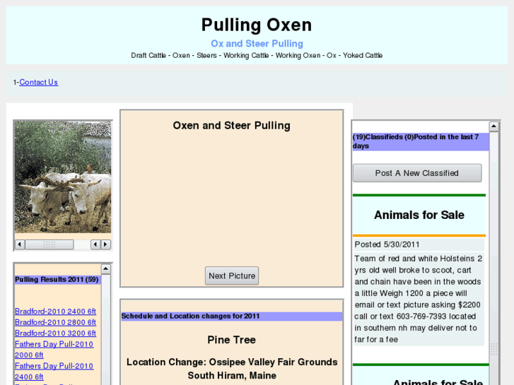 www.pulling-oxen.com