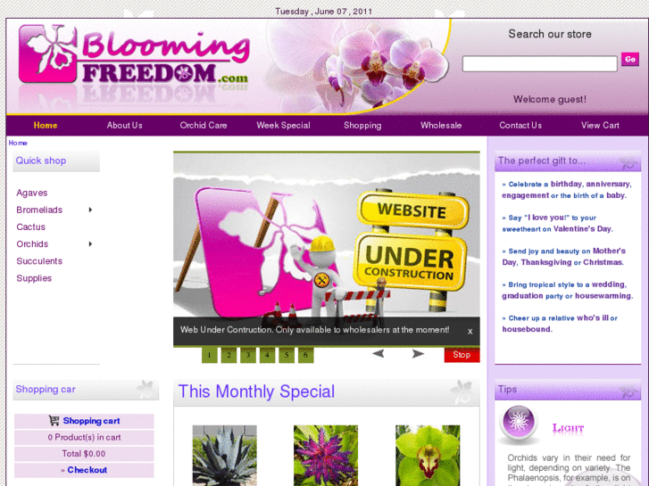 www.bloomingfreedom.com