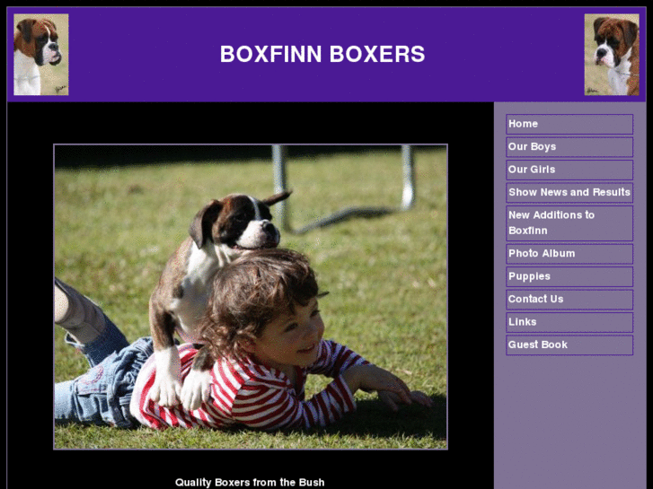 www.boxfinnboxers.com