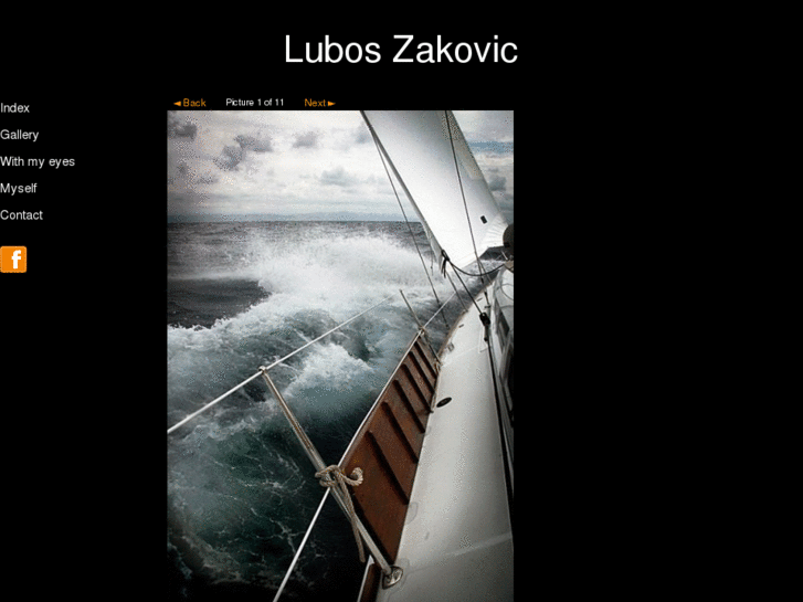 www.luboszakovic.com