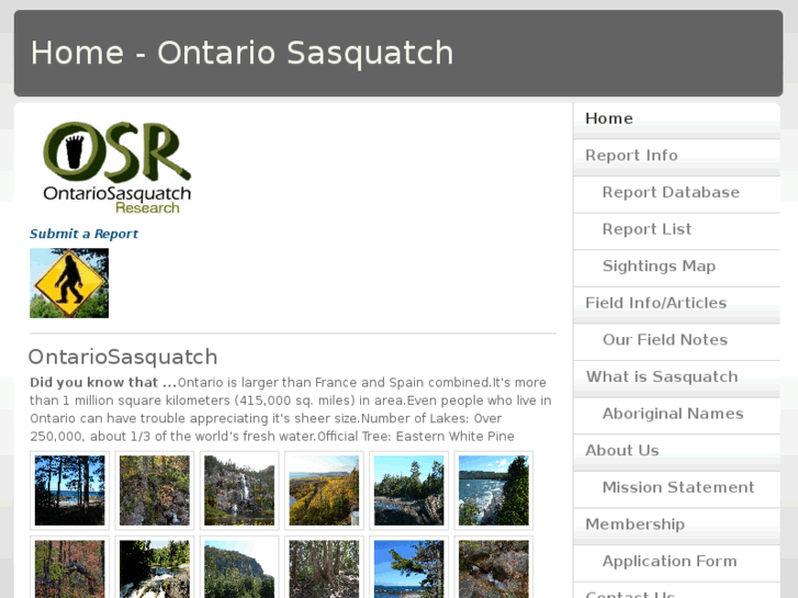 www.ontariosasquatch.com