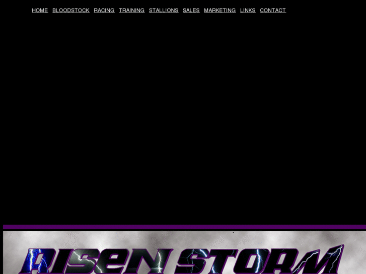 www.risenstorm.com