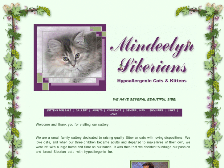 www.siberiancatsonline.com