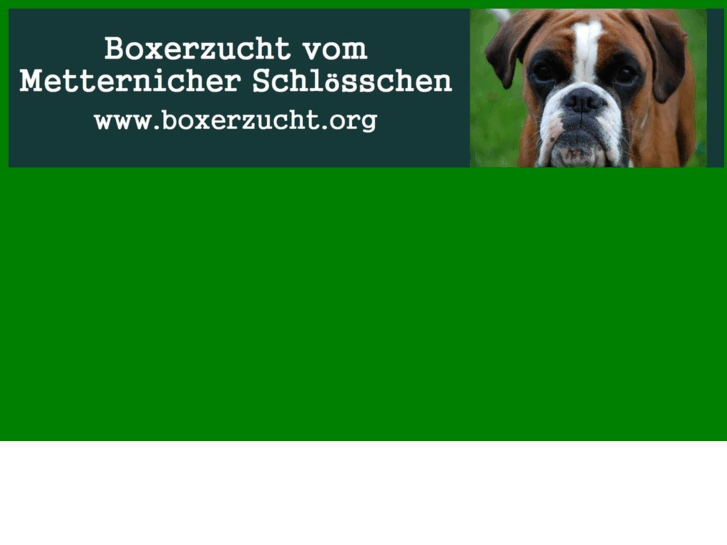 www.boxerwelpe.org