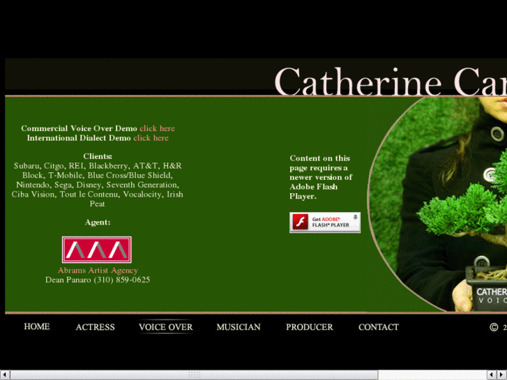 www.catherinecampionvo.com