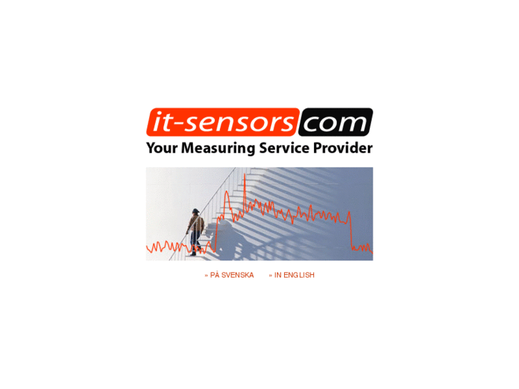 www.it-sensor.com