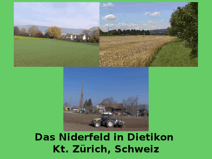 www.niderfeld-dietikon.ch