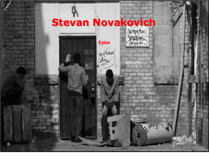 www.stevannovakovich.com