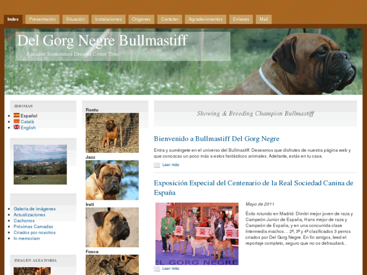 www.delgorgnegrebullmastiff.com