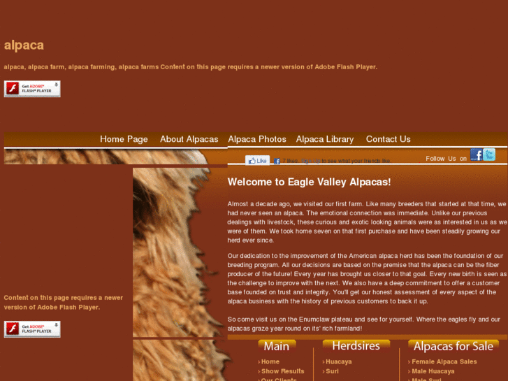 www.eaglevalleyalpacas.com