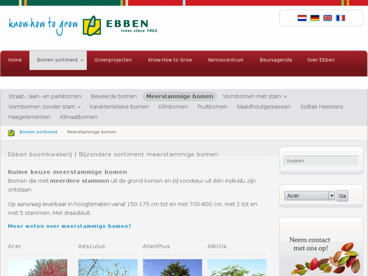 www.meerstammigebomen.com