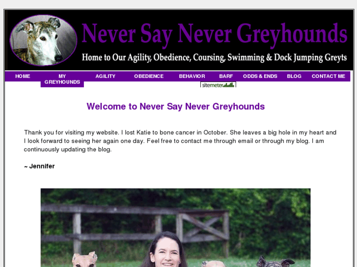 www.neversaynevergreyhounds.net