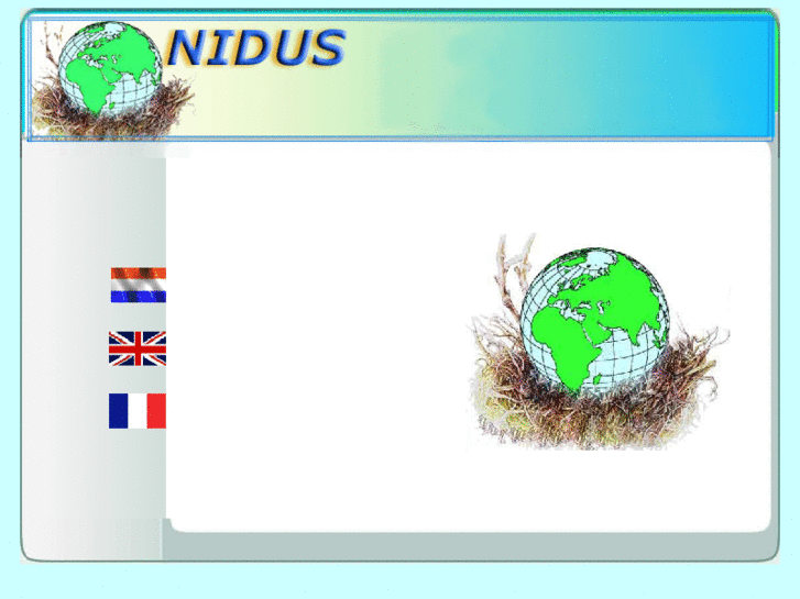 www.nidus-1.org