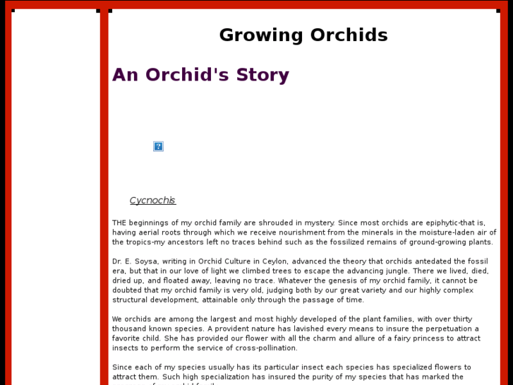 www.orchidcharm.com