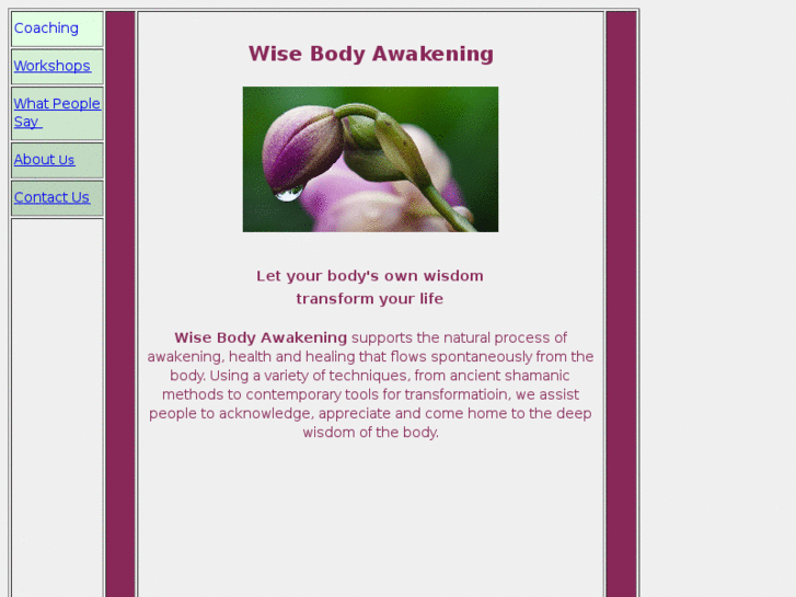 www.wisebodyawakening.com