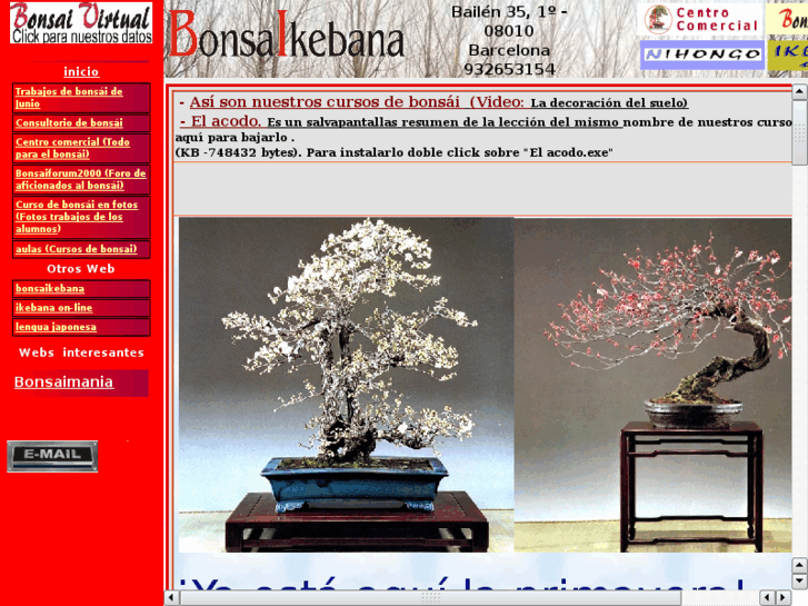 www.bonsaivirtual.com