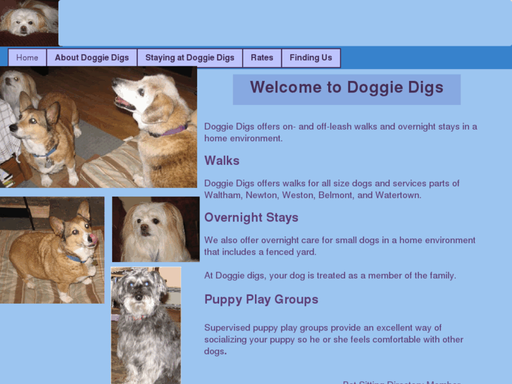 www.doggiedigsathome.com