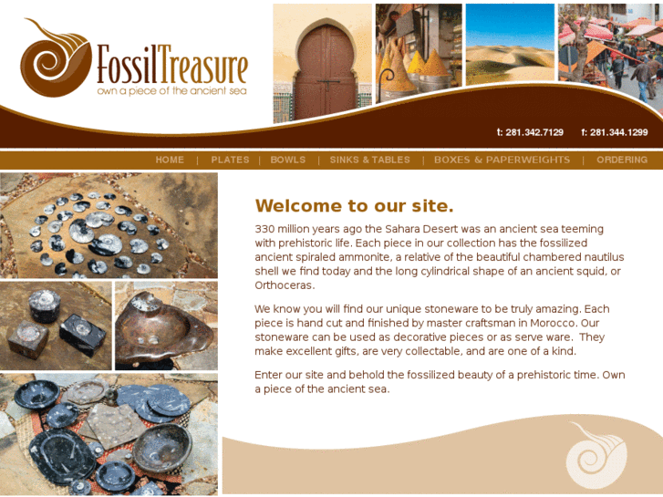 www.fossiltreasure.com