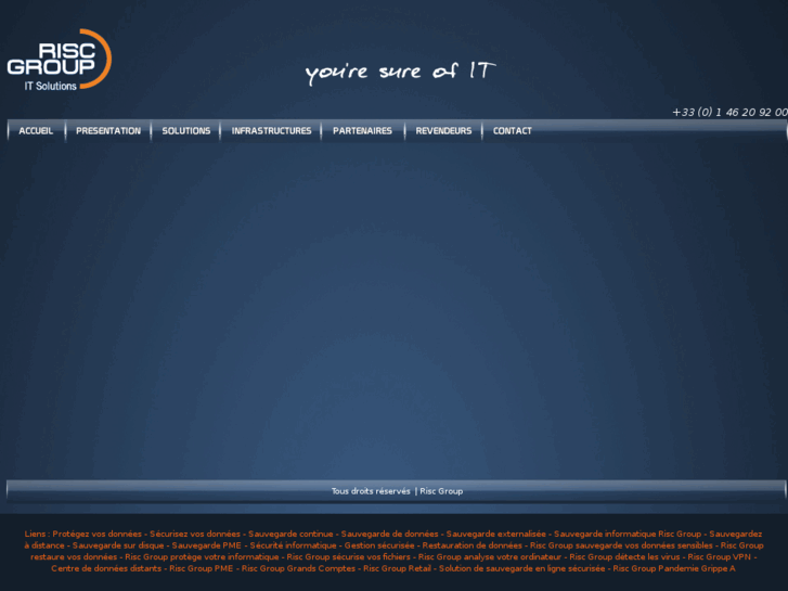 www.risc-group-itsolutions.com