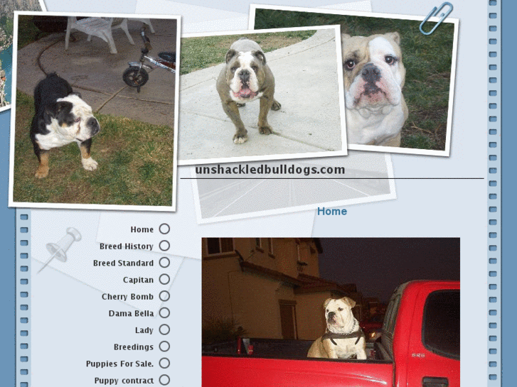 www.unshackledbulldogs.com