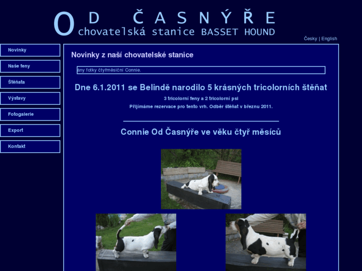 www.basset-odcasnyre.com