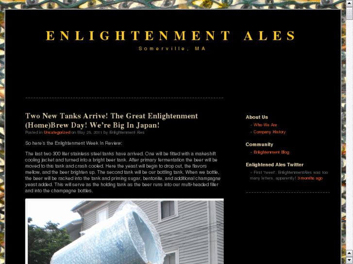 www.enlightenmentales.com