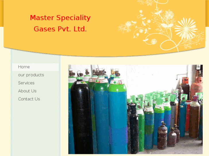 www.masterspecialitygases.com