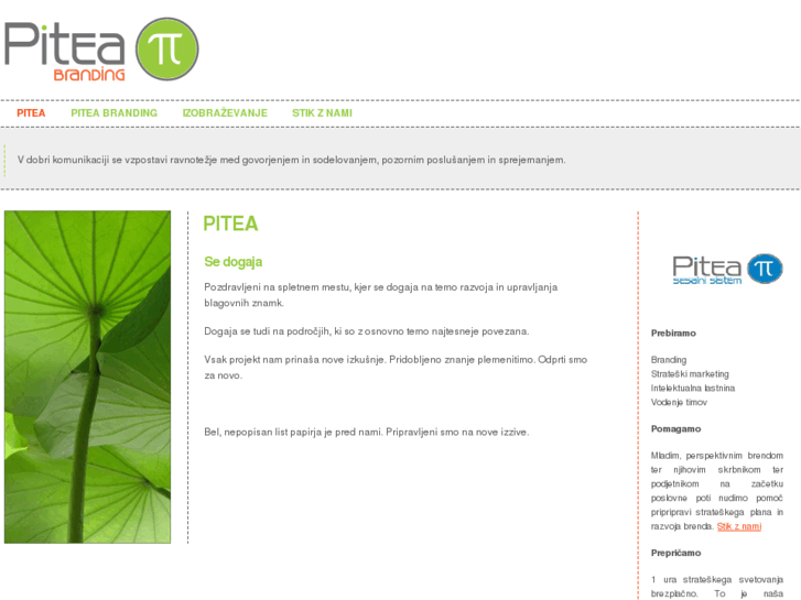 www.pitea.si