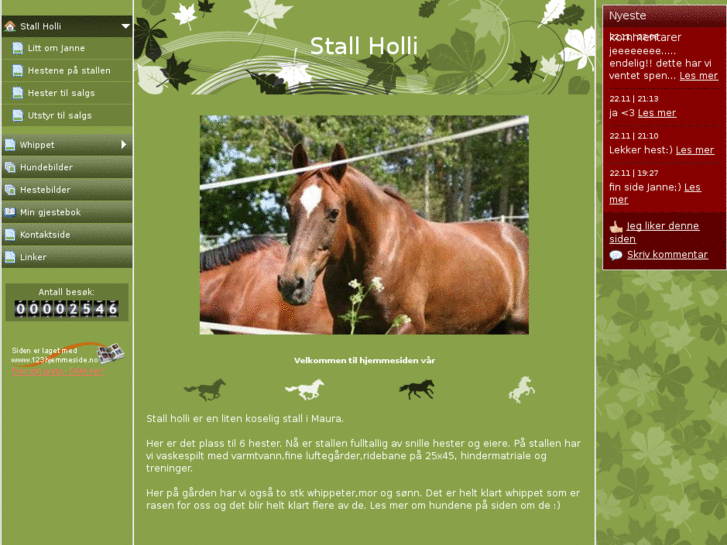 www.stallholli.com