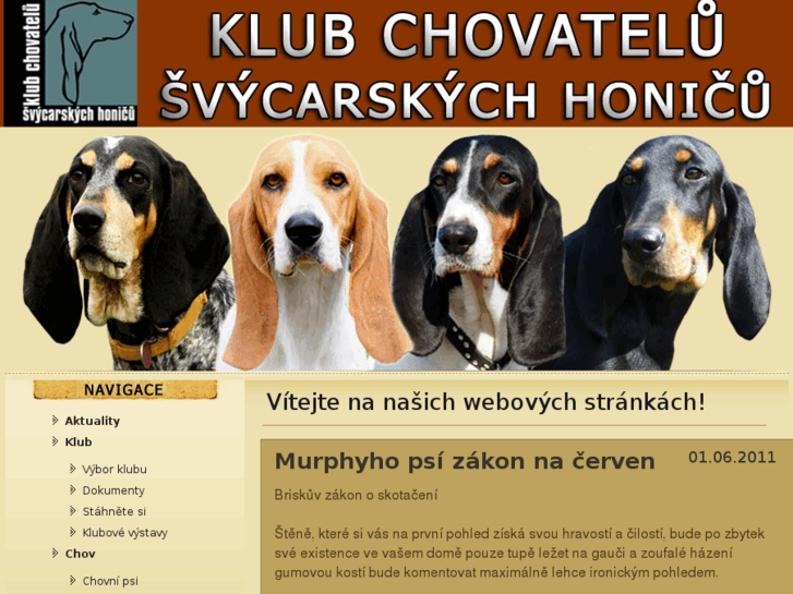 www.svycarskyhonic.com