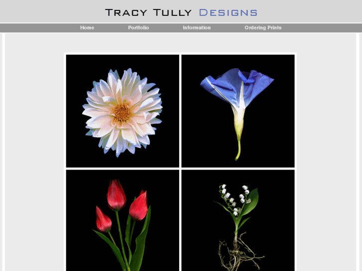 www.tracytullydesigns.com